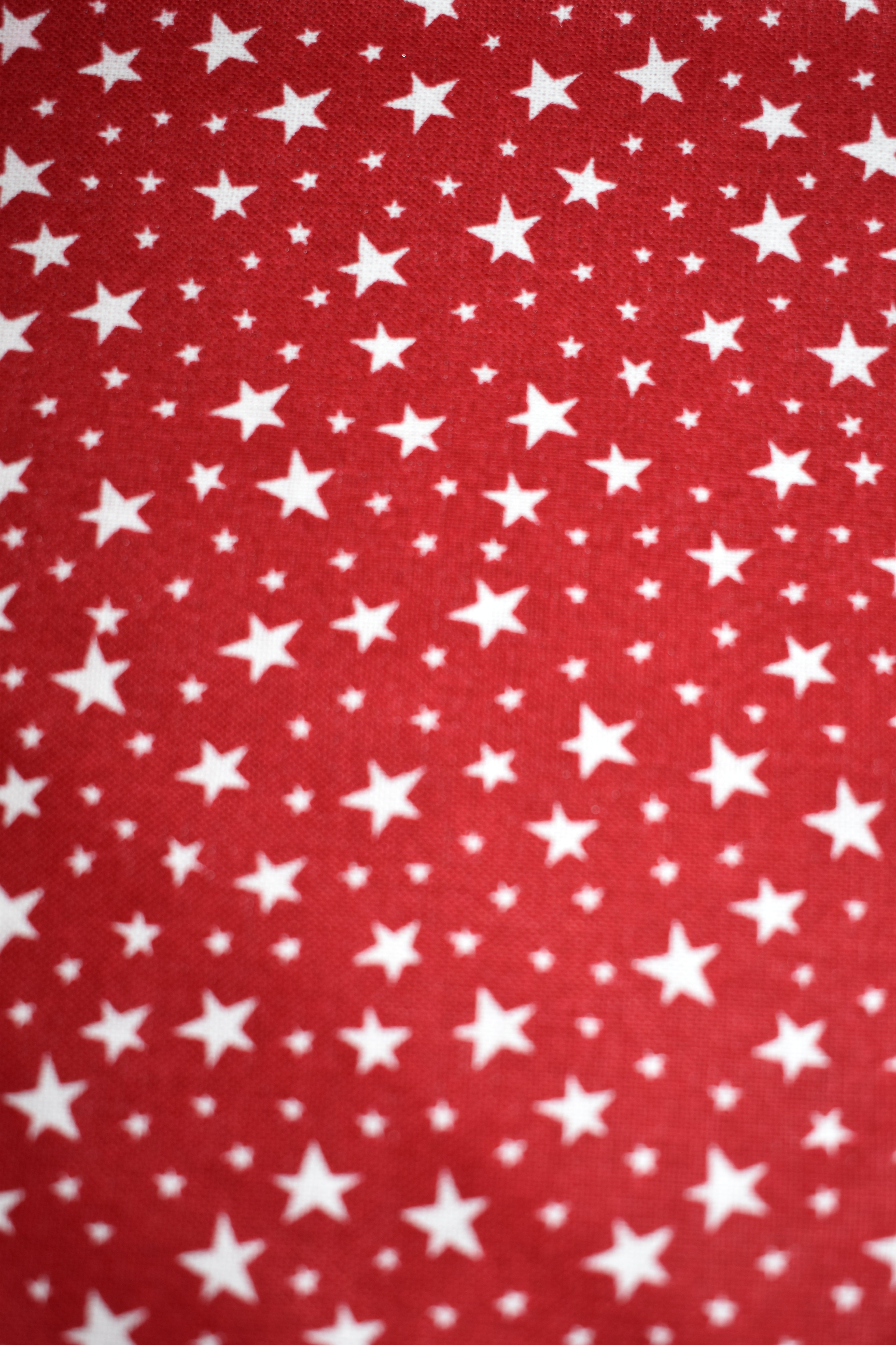 Mini Red Stars Bandana