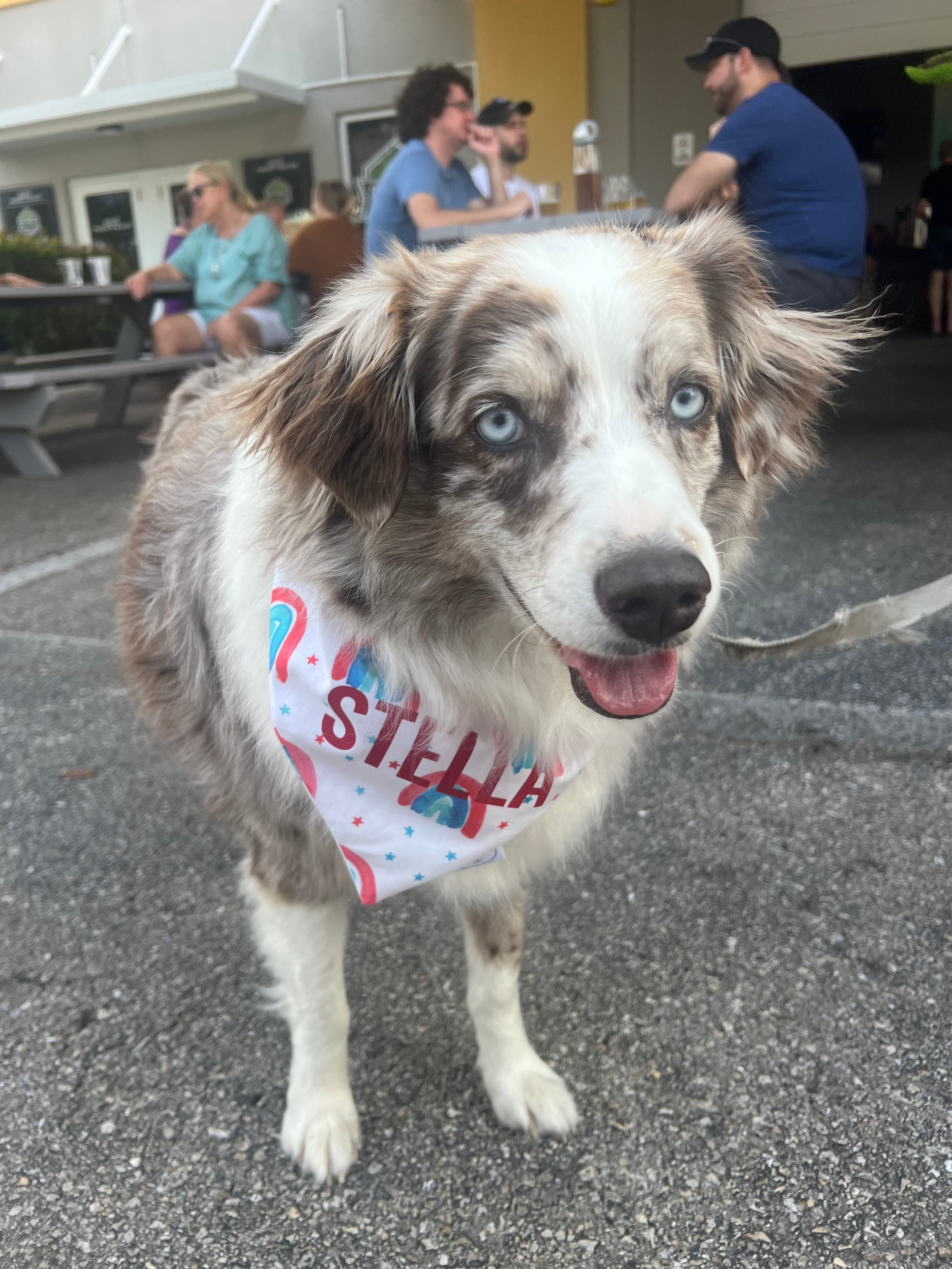 Patriotic Rainbows Bandana