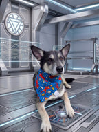 I Love You 3000 Bandana