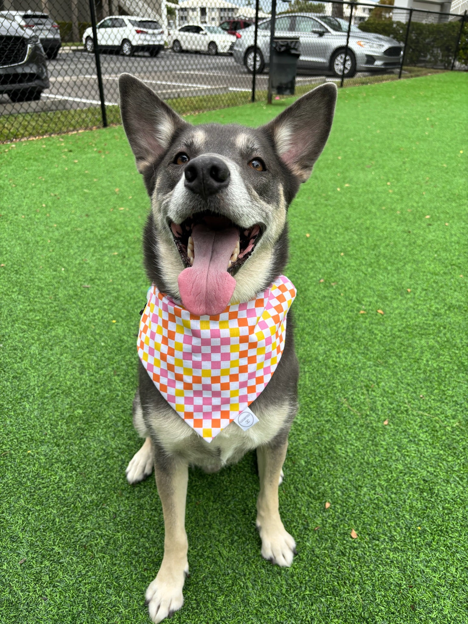 Checkerboard Bandana