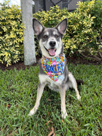 Super Pup Bros Bandana