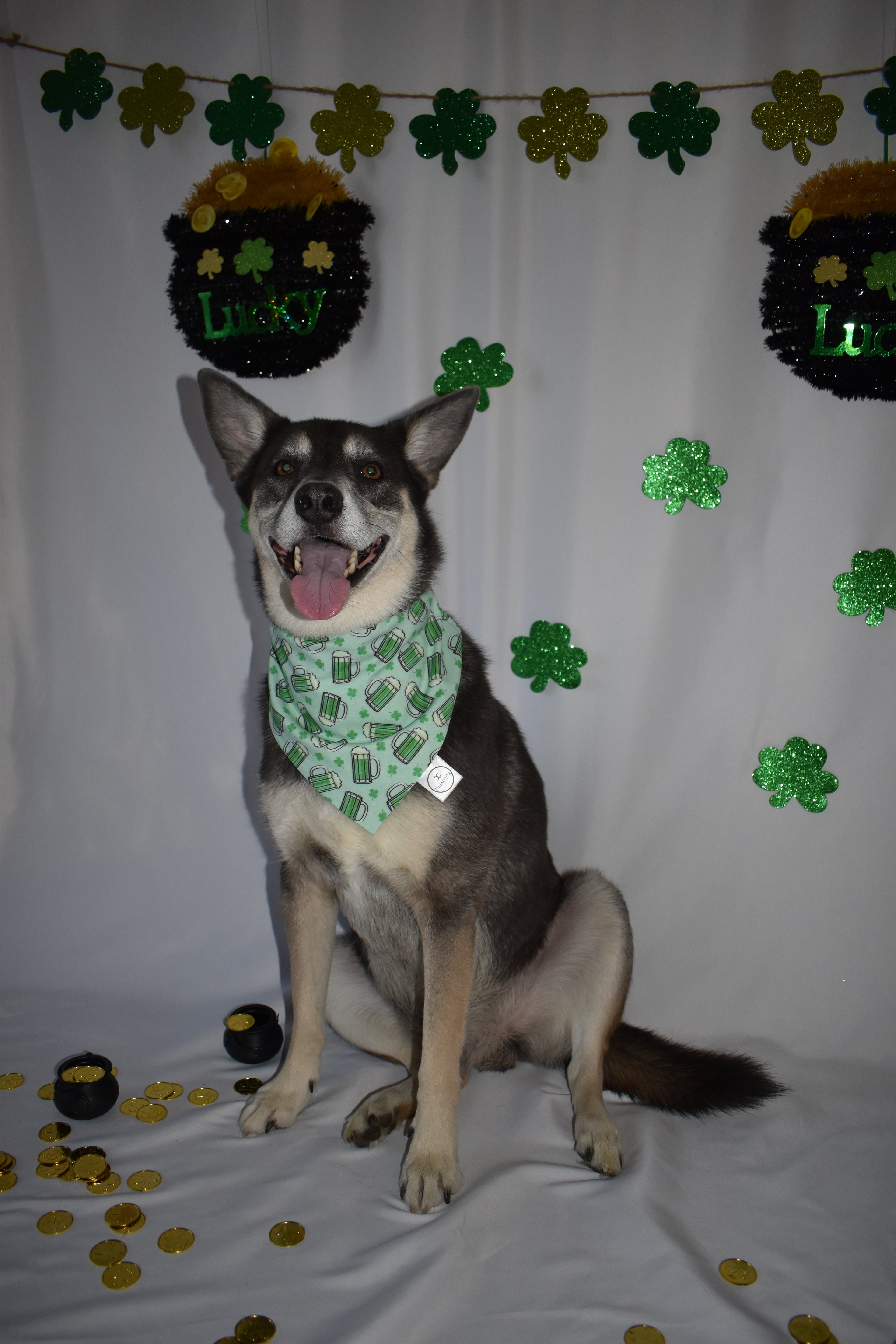 Green Beer Bandana