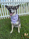 Ohana Bandana