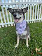 Ohana Bandana