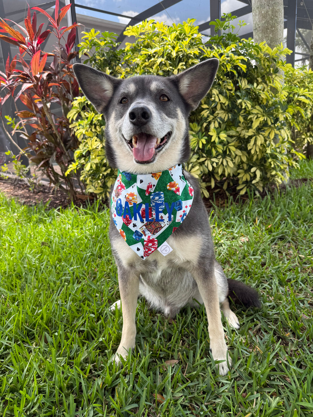 Poker Bandana