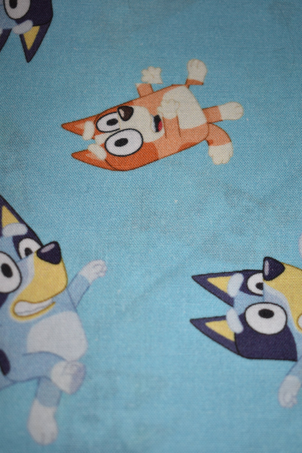 Bluey Bandana