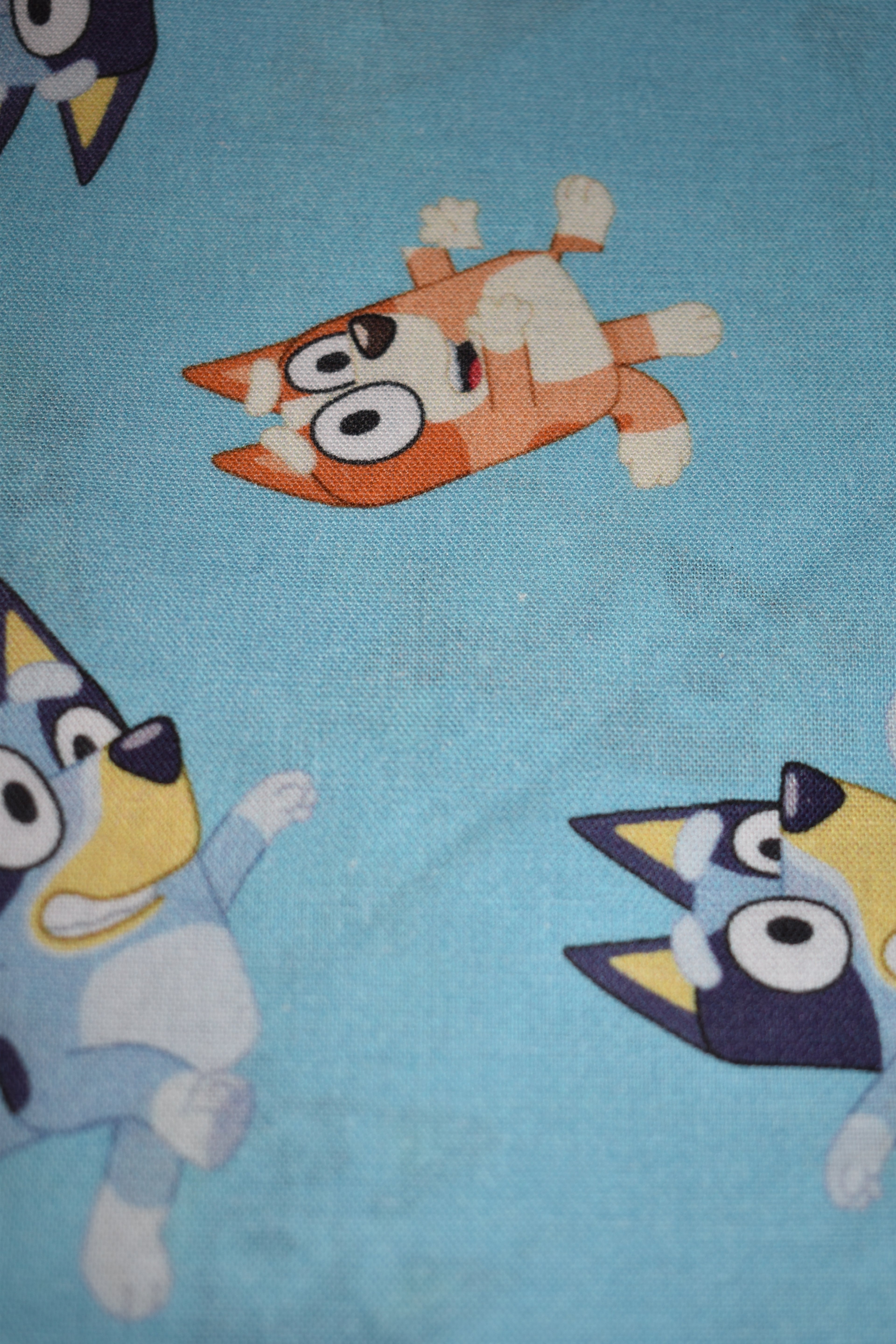 Bluey Bandana