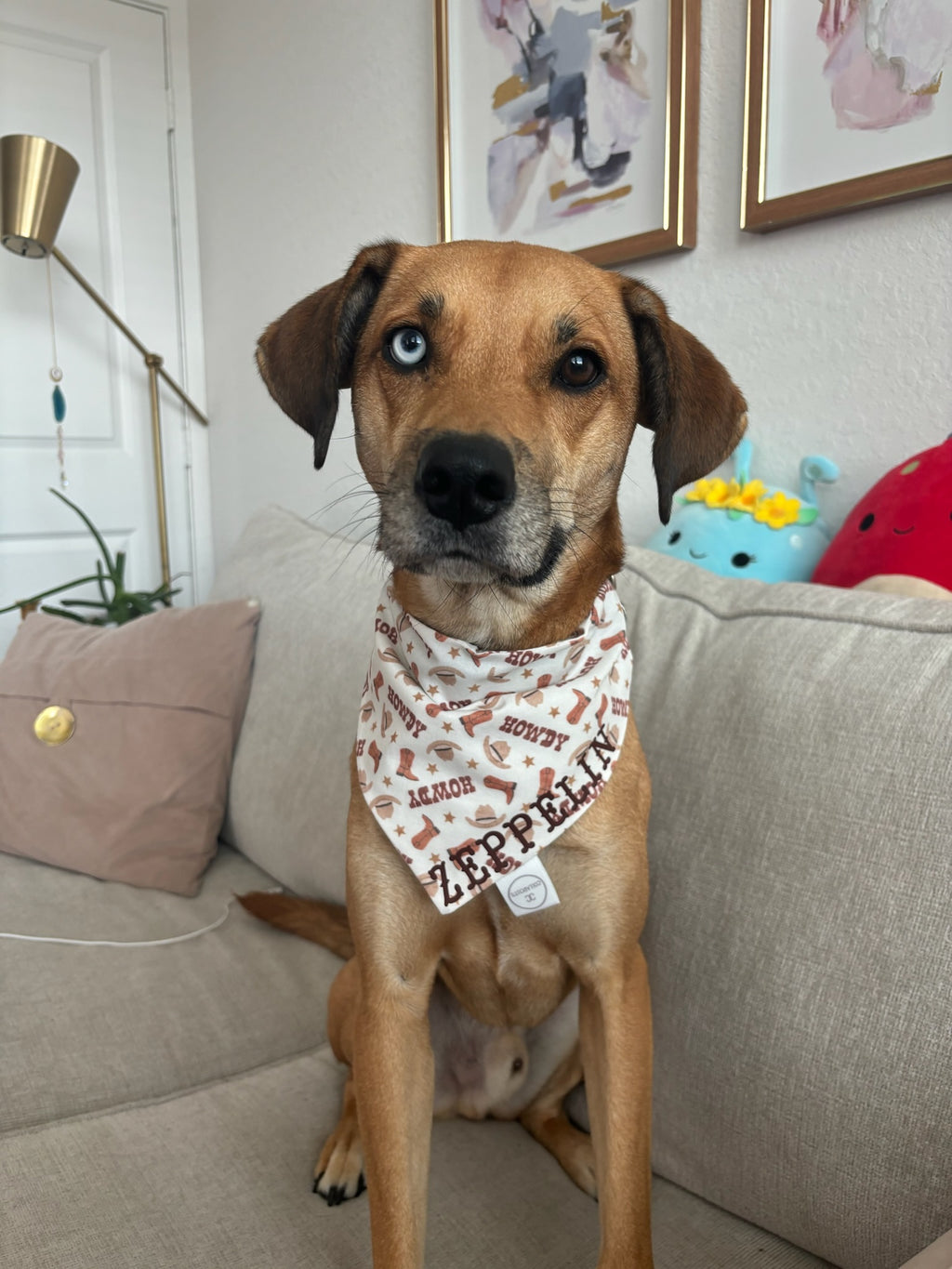 Howdy Cowboy Bandana