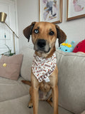 Howdy Cowboy Bandana