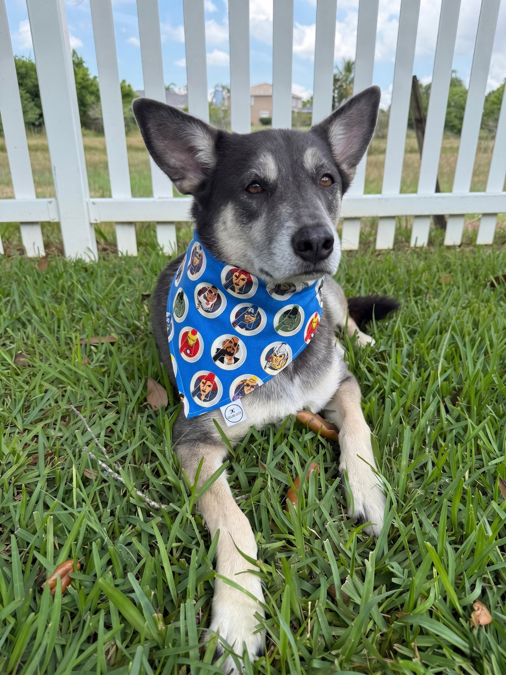 Hero Portraits Bandana