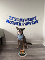 Birthday Boy Bandana