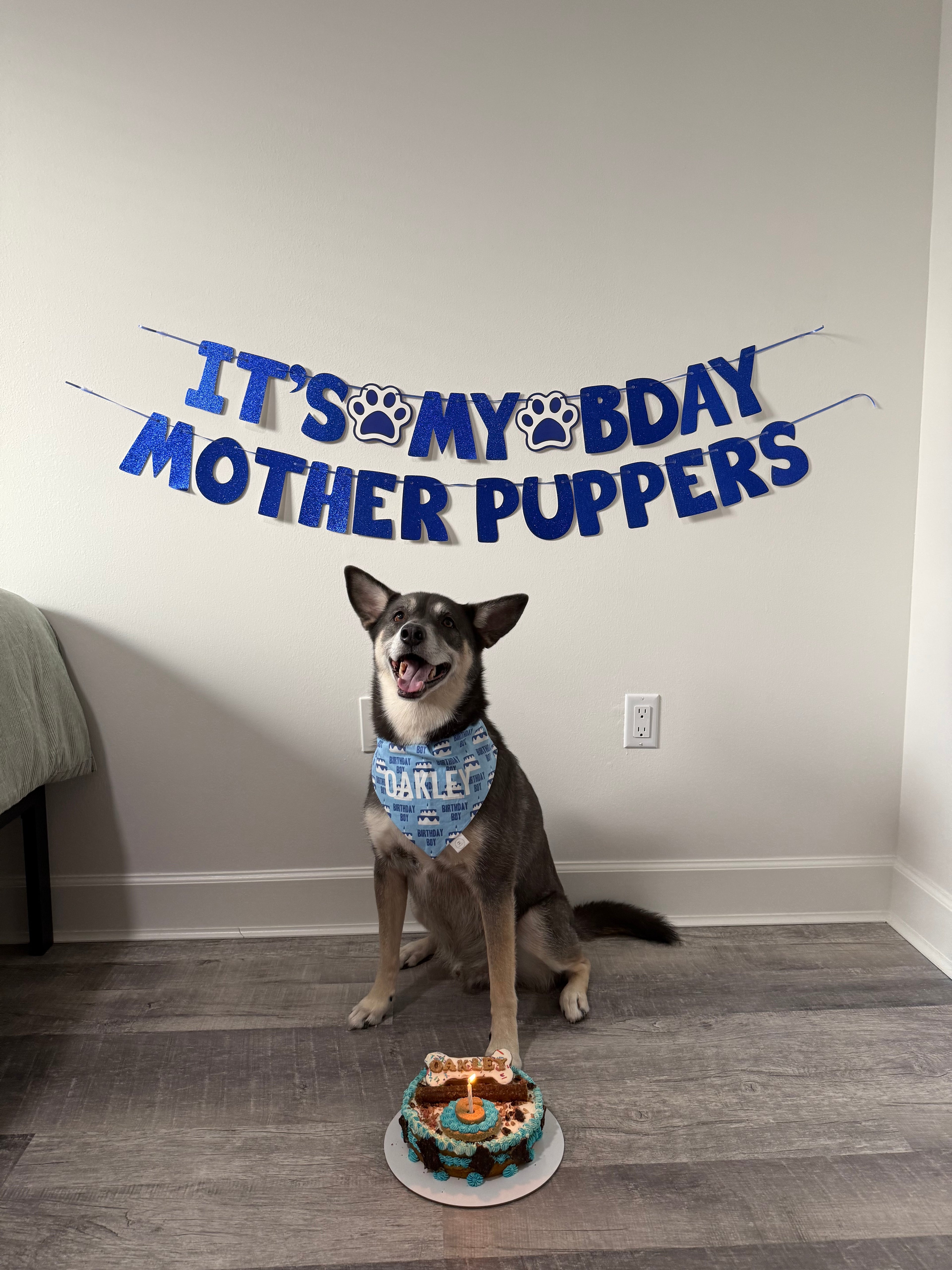 Birthday Boy Bandana