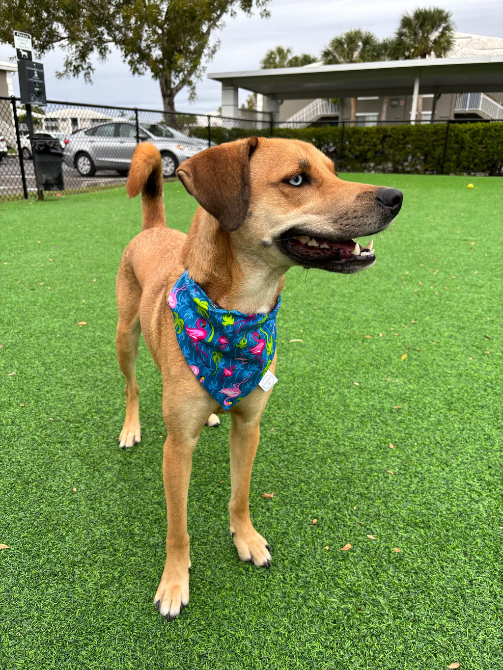 Palm Tree Flamingos Bandana