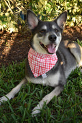 Pink Abstract Plaid Bandana