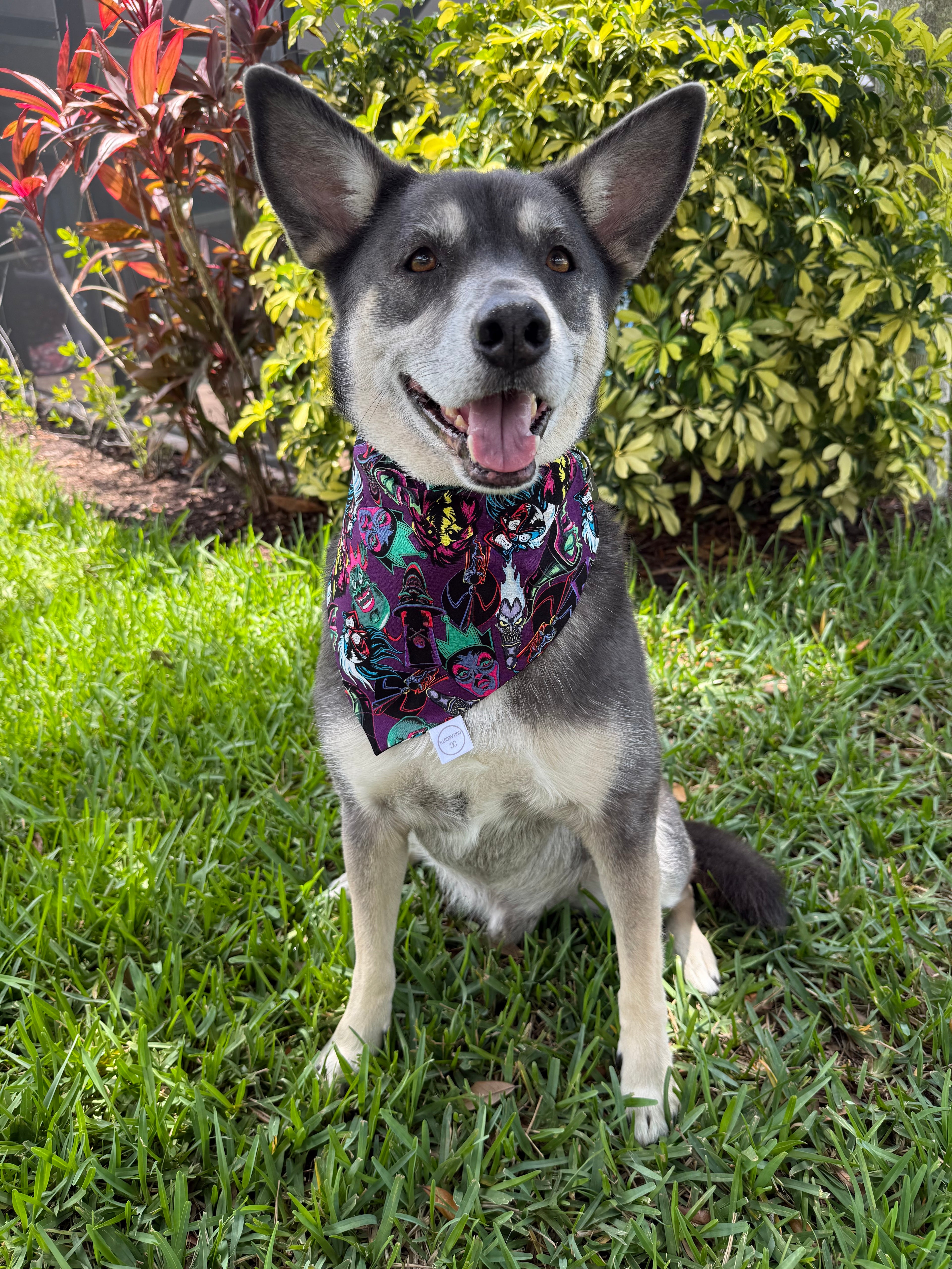 Magical Villians Bandana