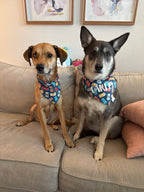 Boop Beer Bandana