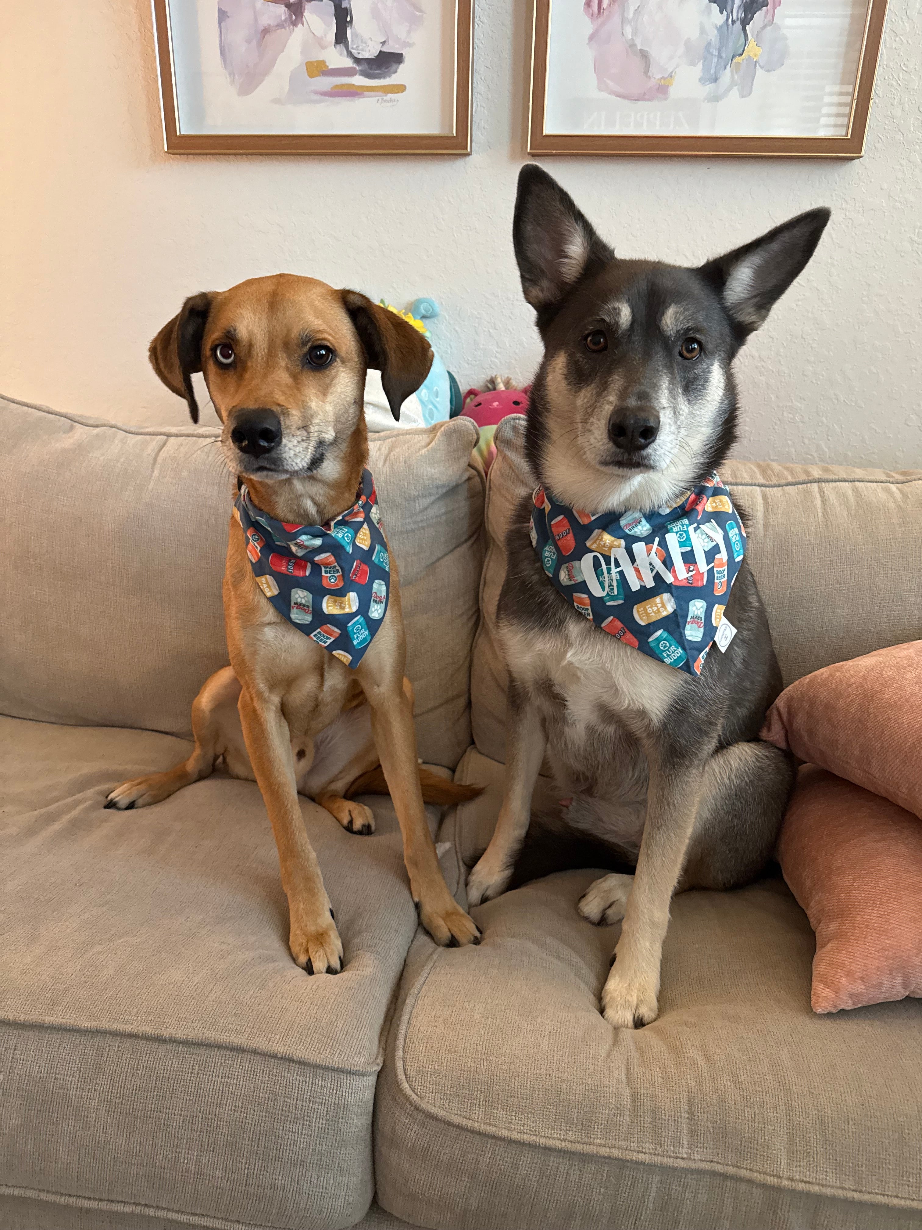 Boop Beer Bandana