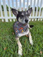 Hero Legos Bandana