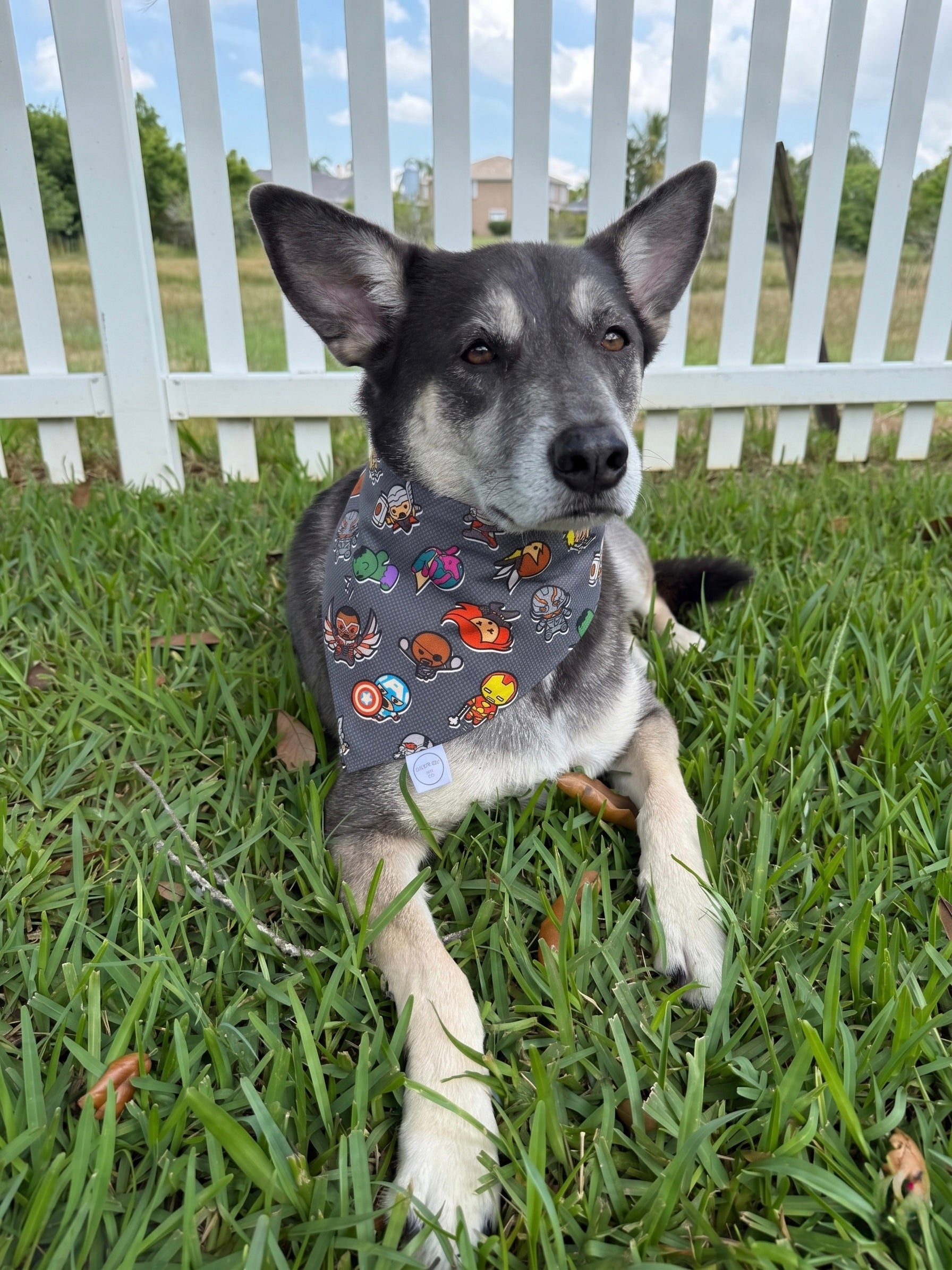 Hero Legos Bandana