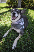 Camo Bandana