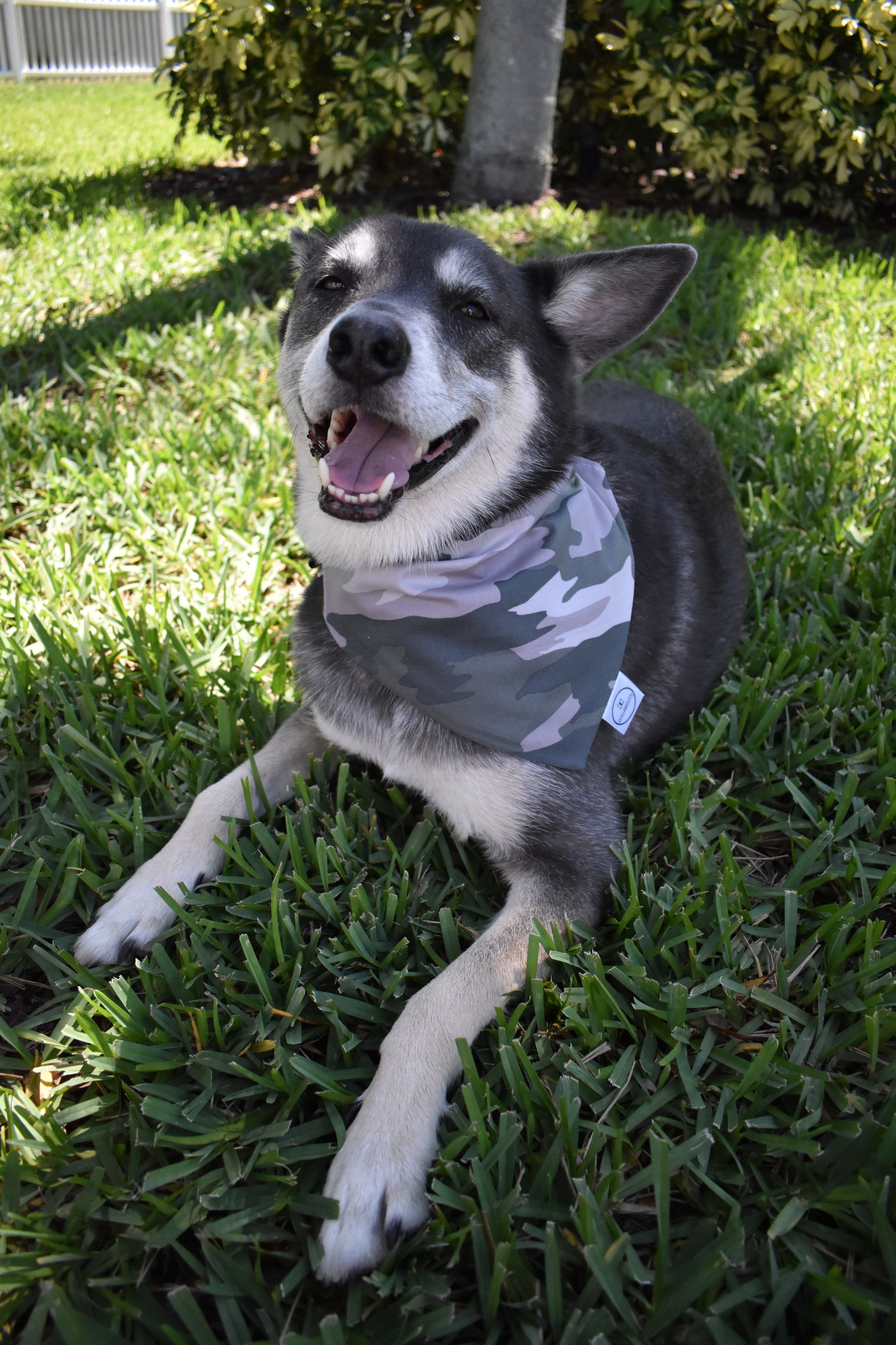 Camo Bandana