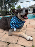 Dolphins Bandana