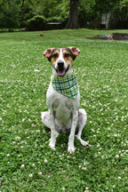 Green Abstract Plaid Bandana
