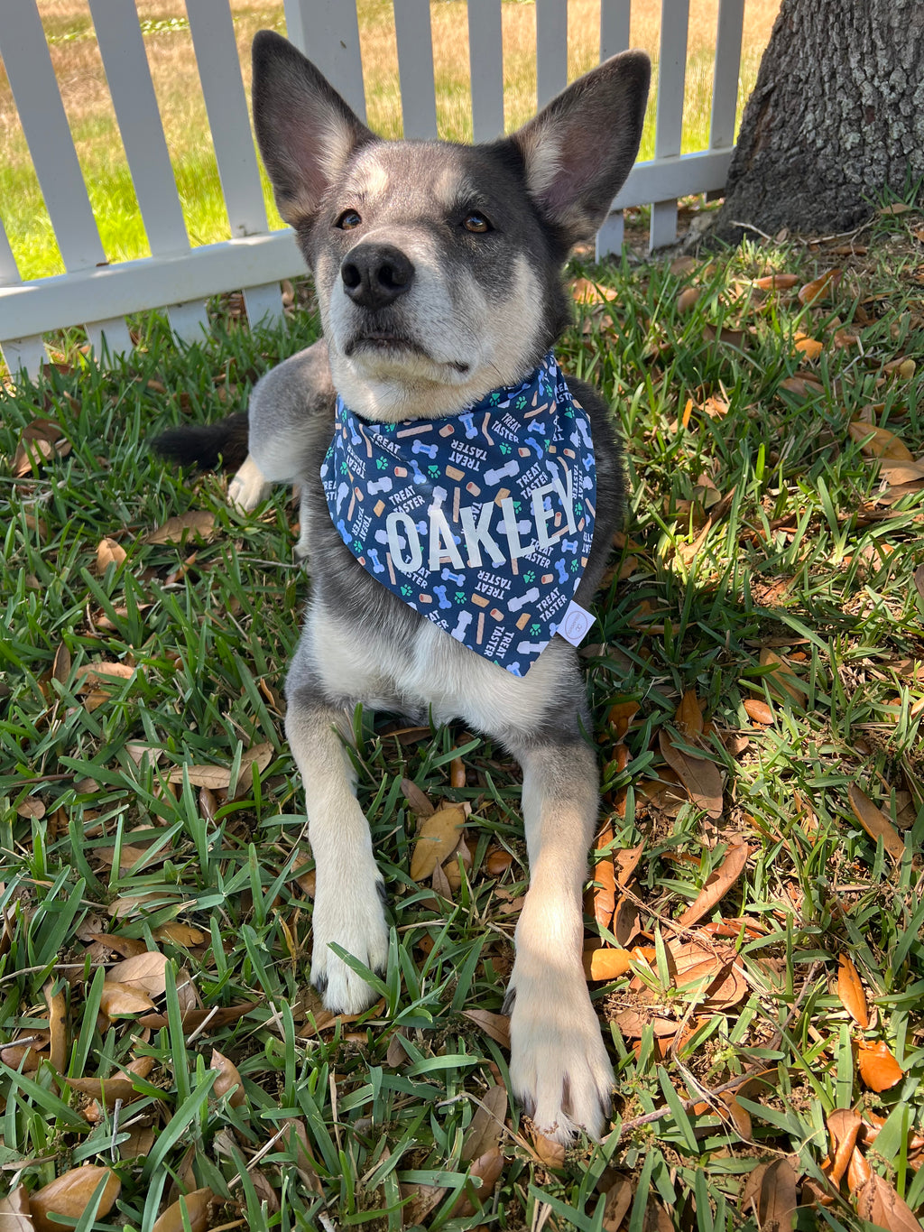 Treat Taster Bandana