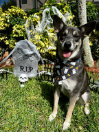 Candy Corn Ghosts Bandana