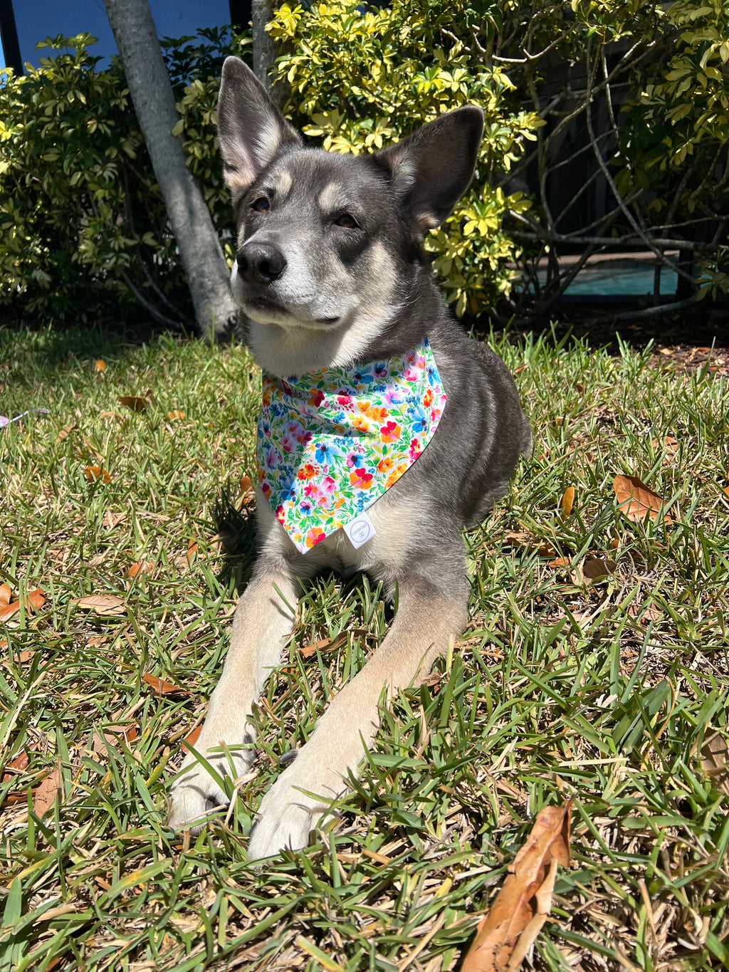 Colorful Floral Bandana