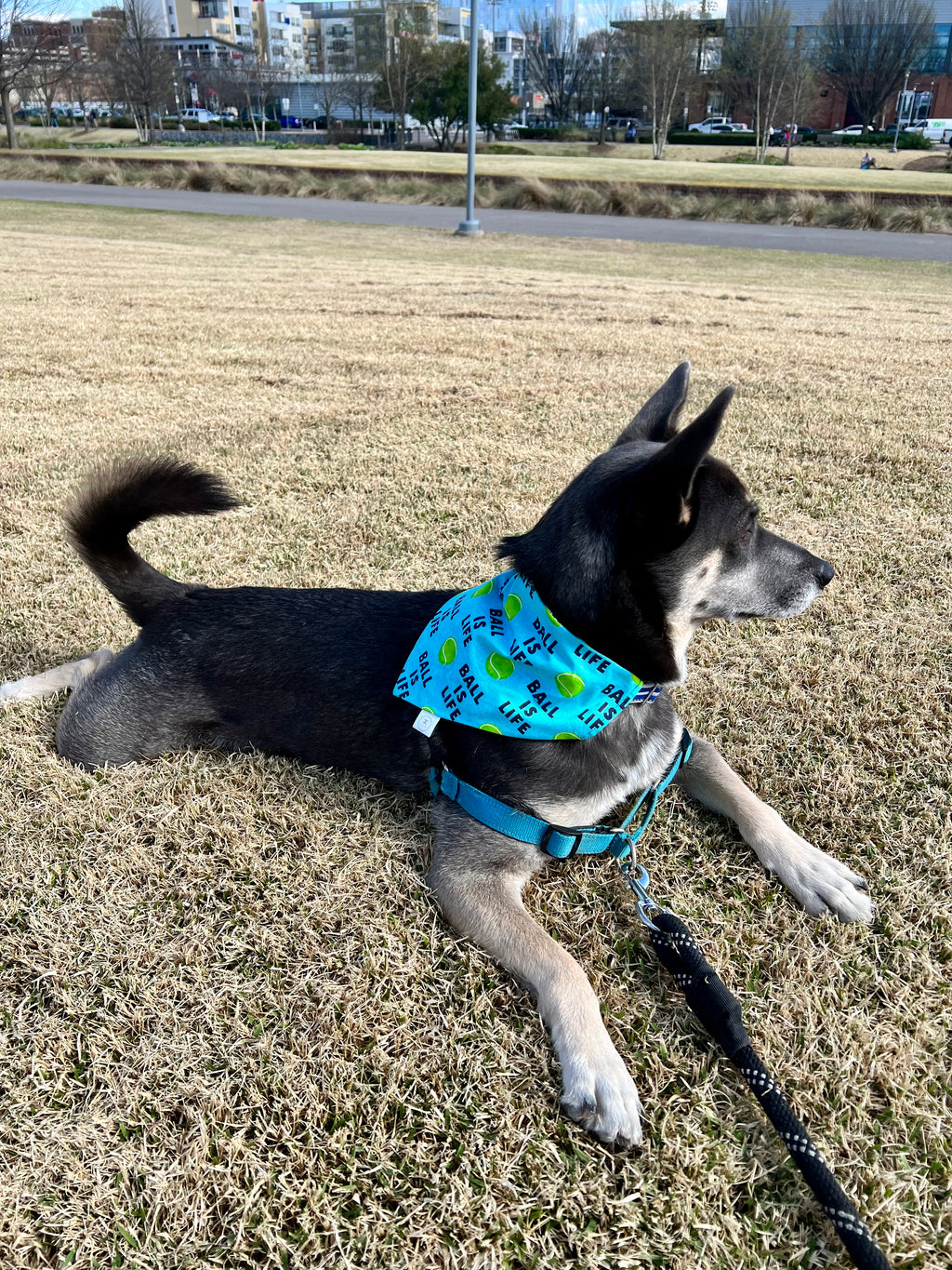 Ball is Life Bandana