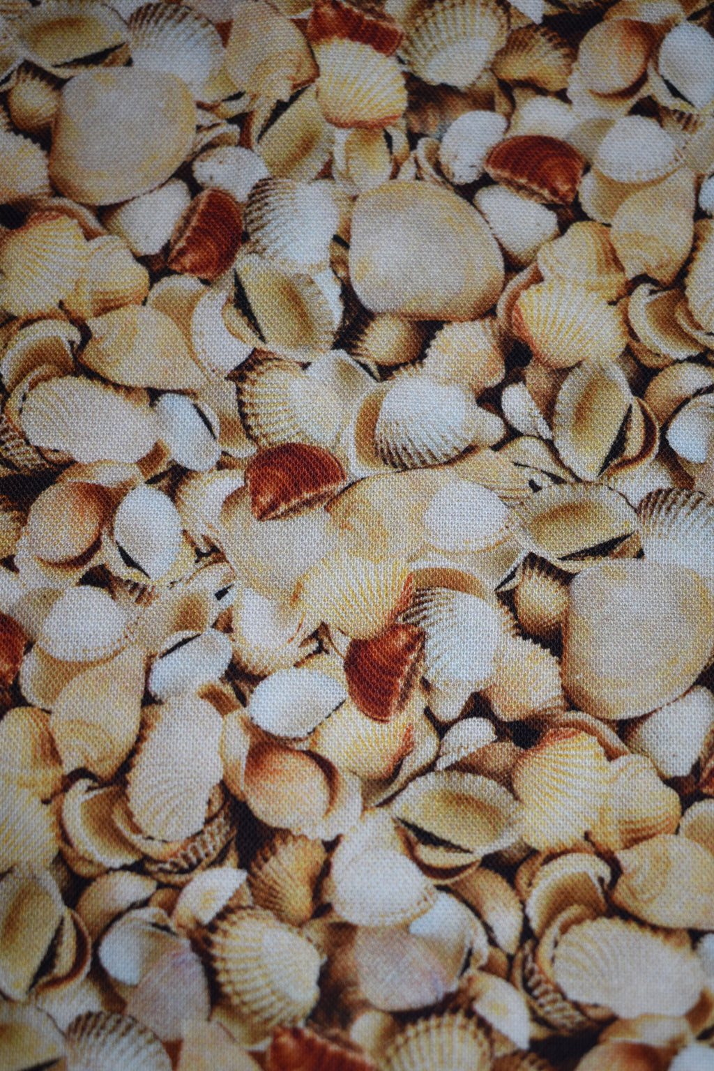 Seashells Bandana