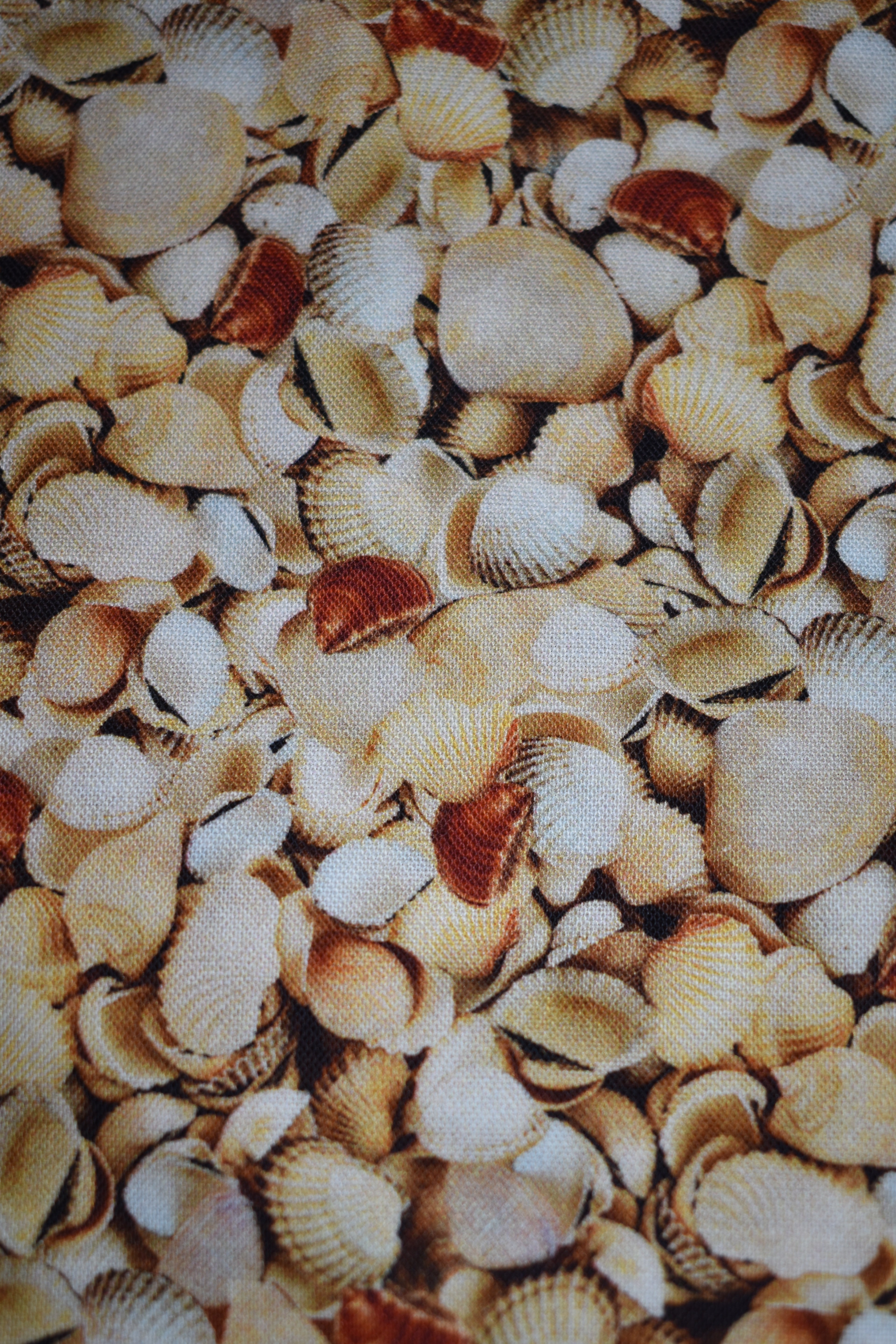 Seashells Bandana