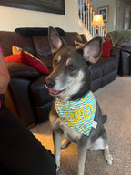 Banana Stripes Bandana