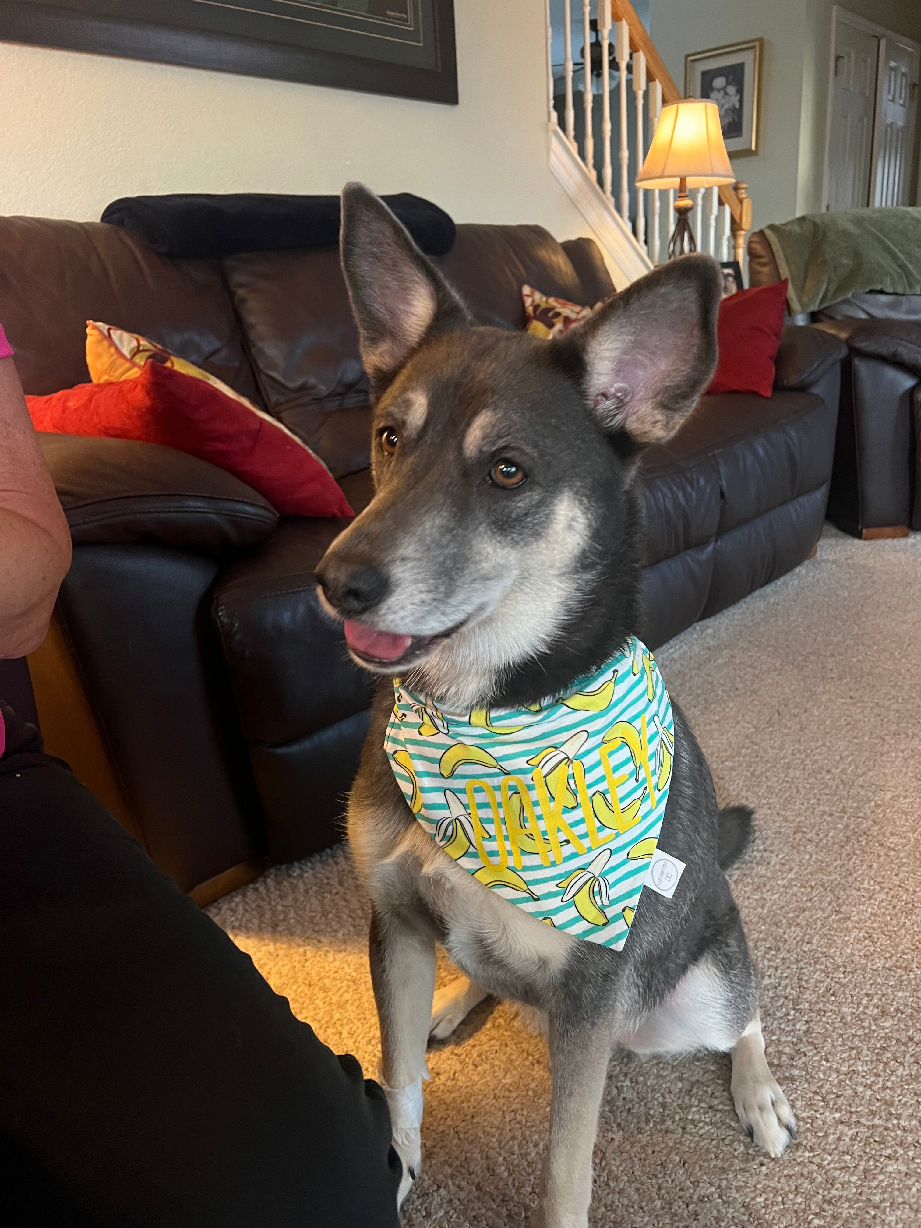 Banana Stripes Bandana