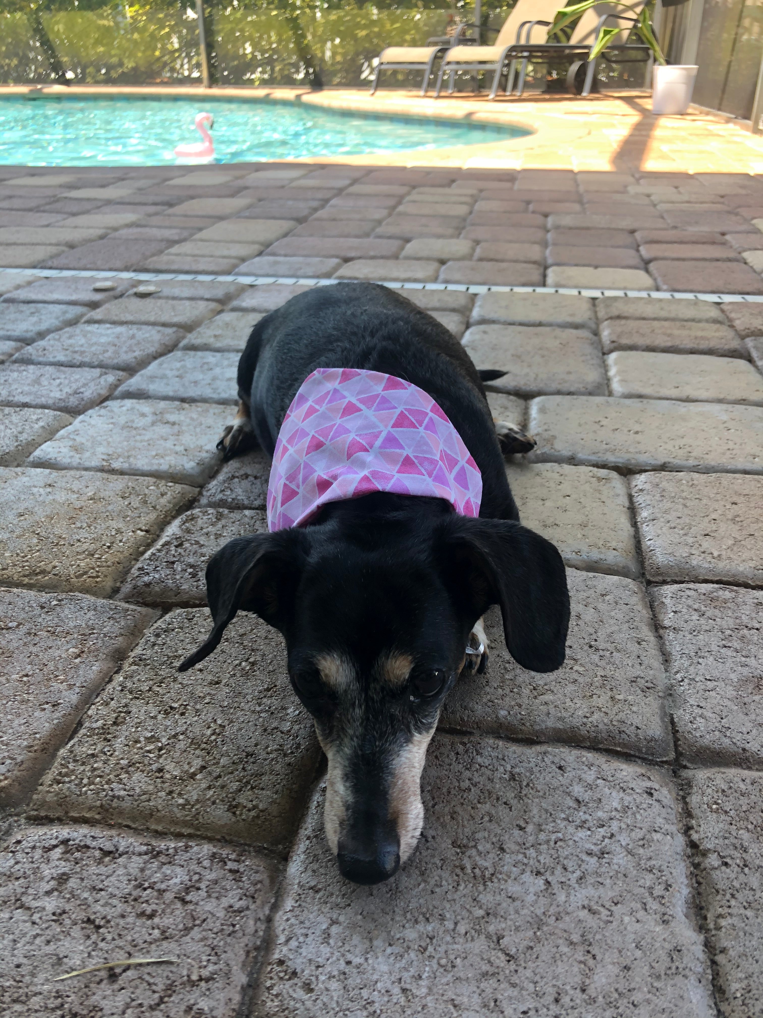 Aztec Triangles Bandana