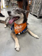 Custom Design Bandana