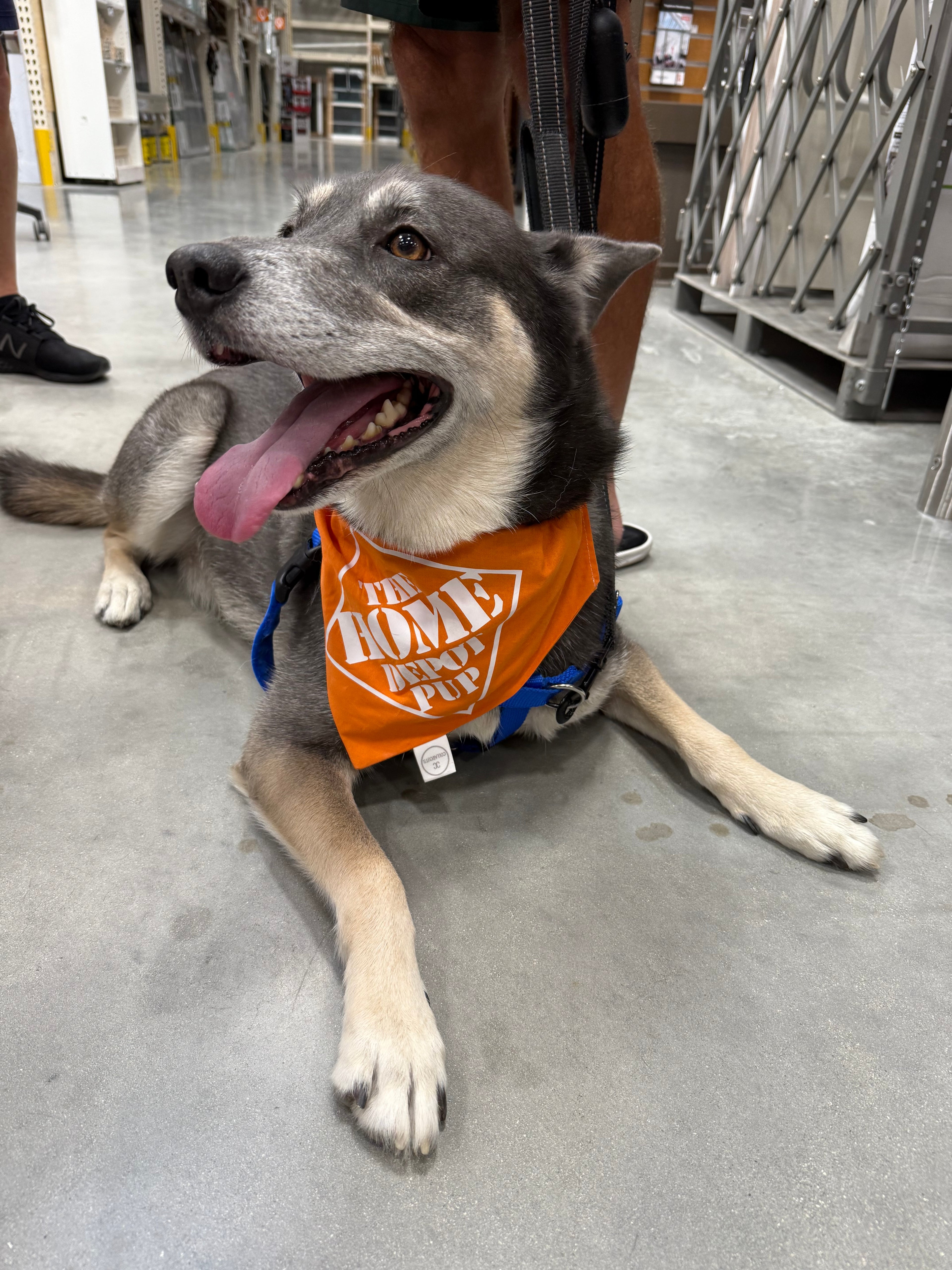 Custom Design Bandana