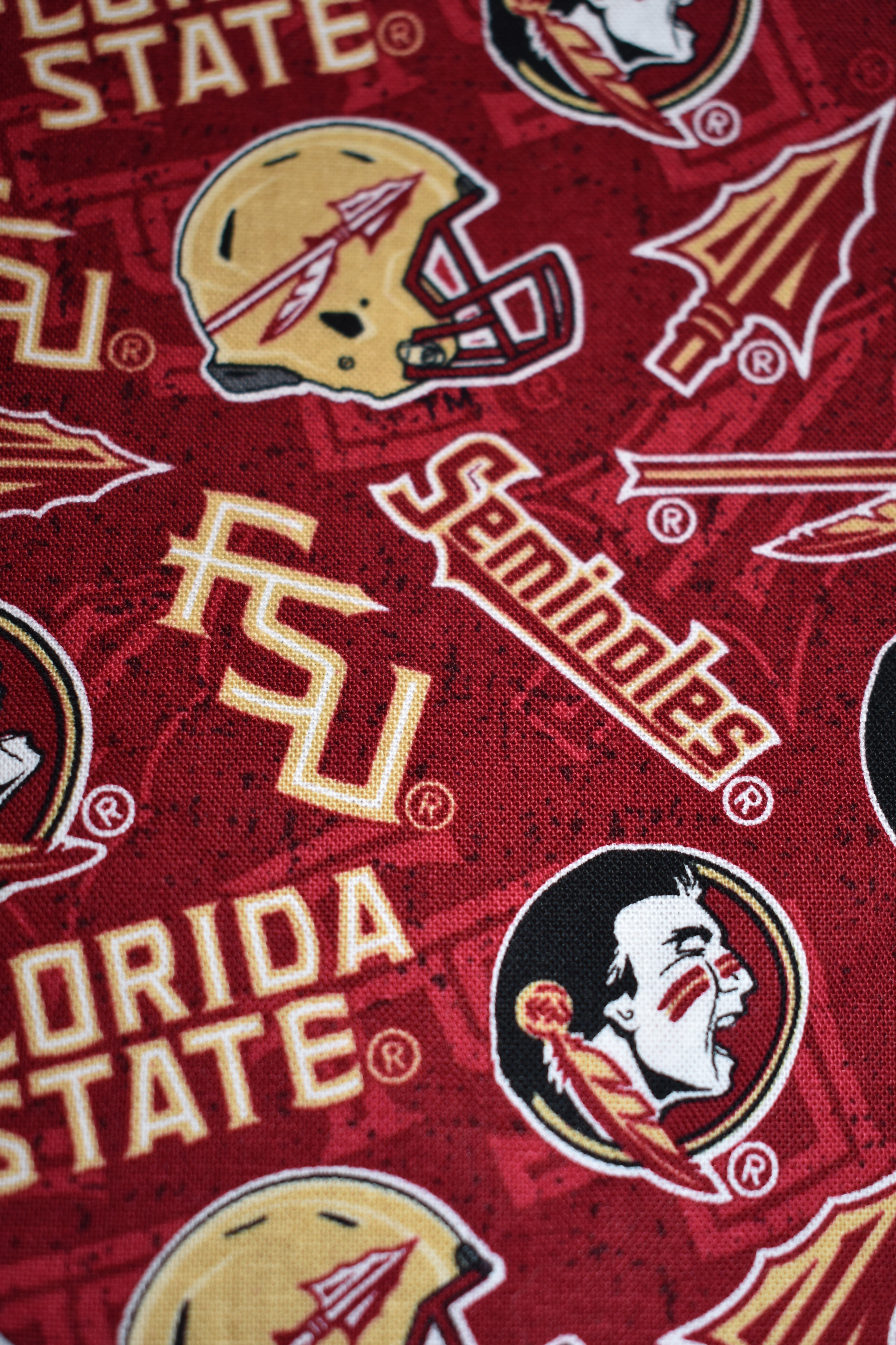 Seminoles Bandana