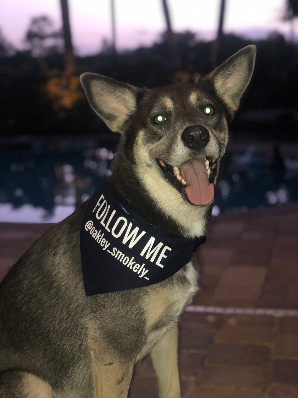 Custom Design Bandana