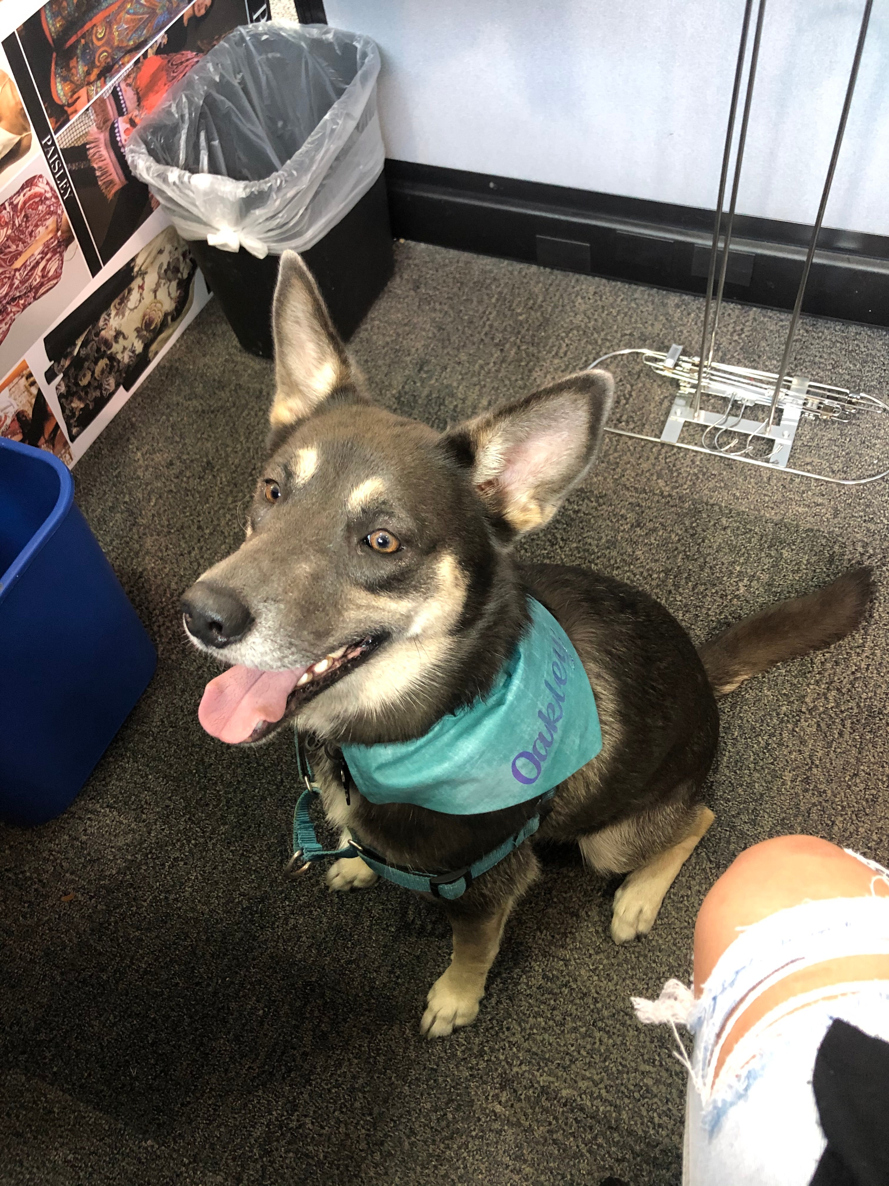 Teal Brush Strokes Bandana