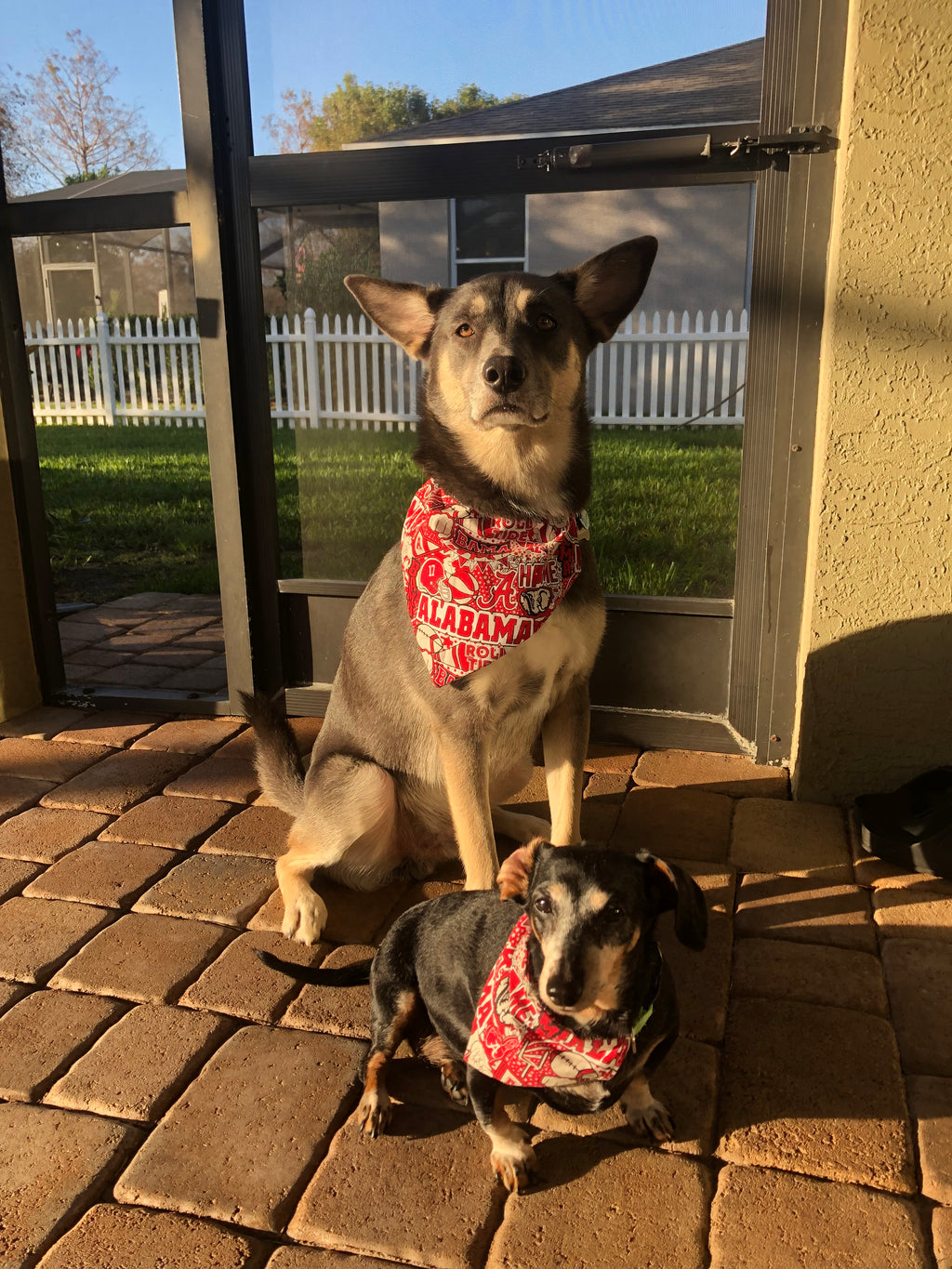 War Eagle Bandana