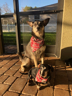 Roll Tide Bandana