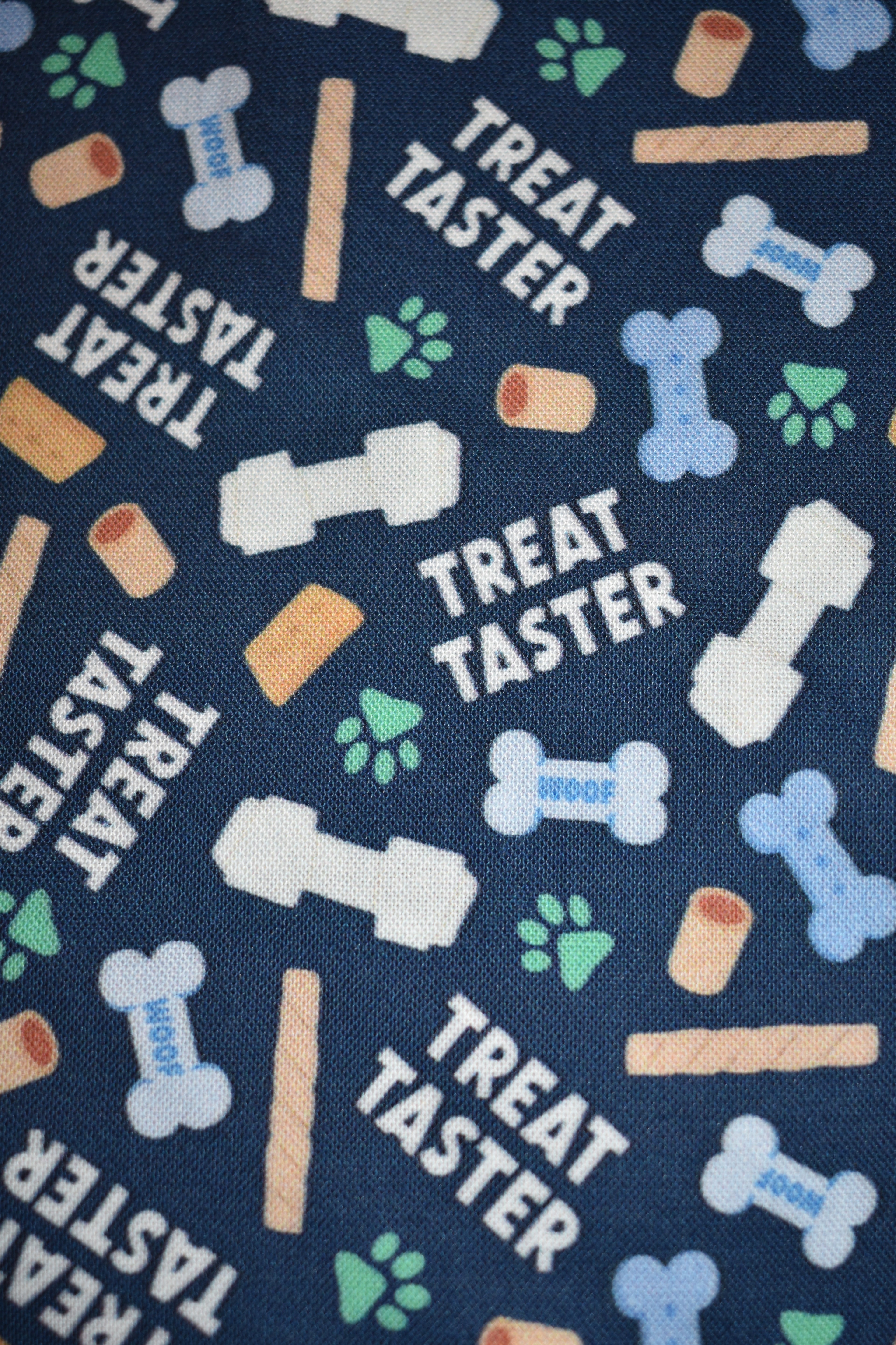 Treat Taster Bandana