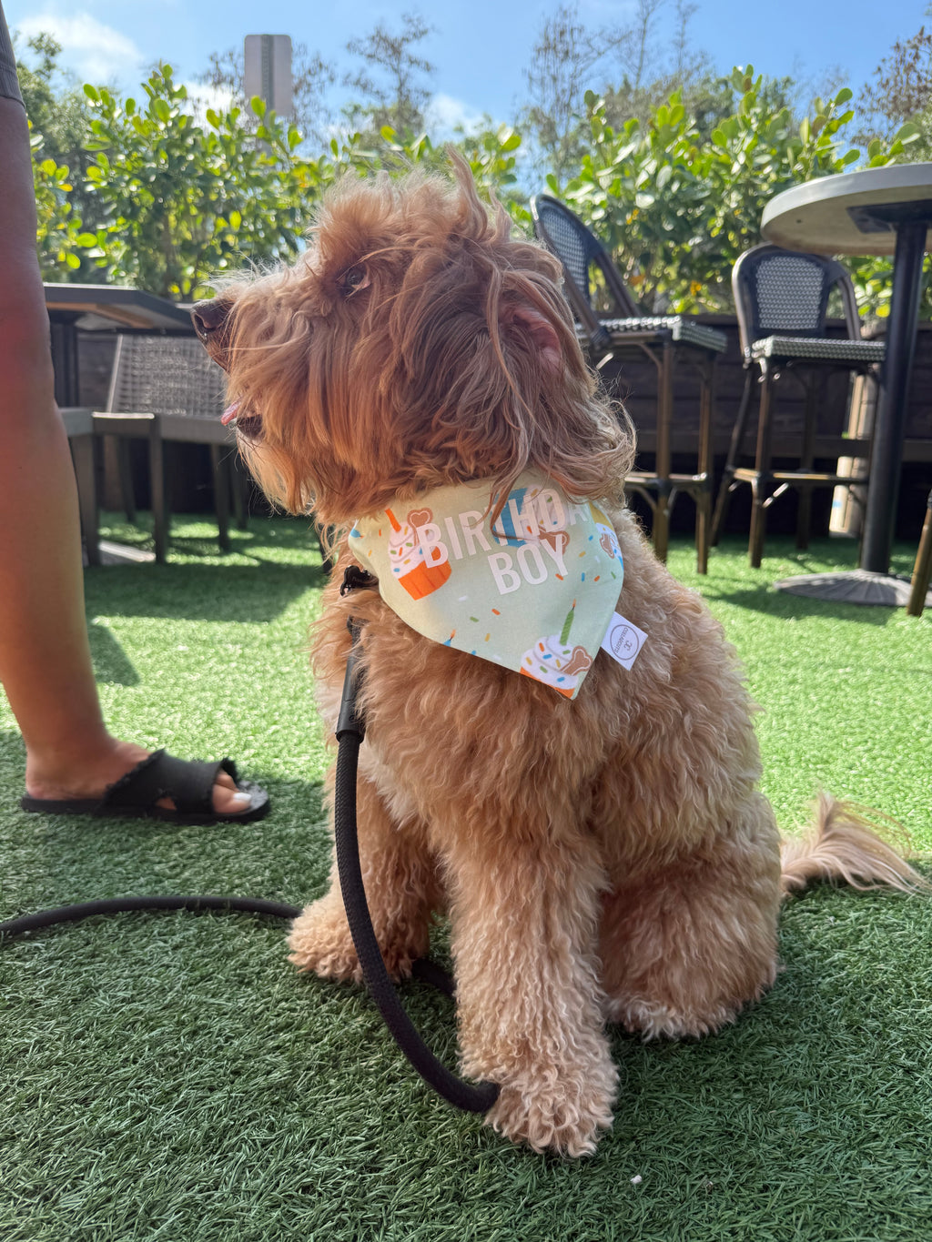 Pupcake Bandana