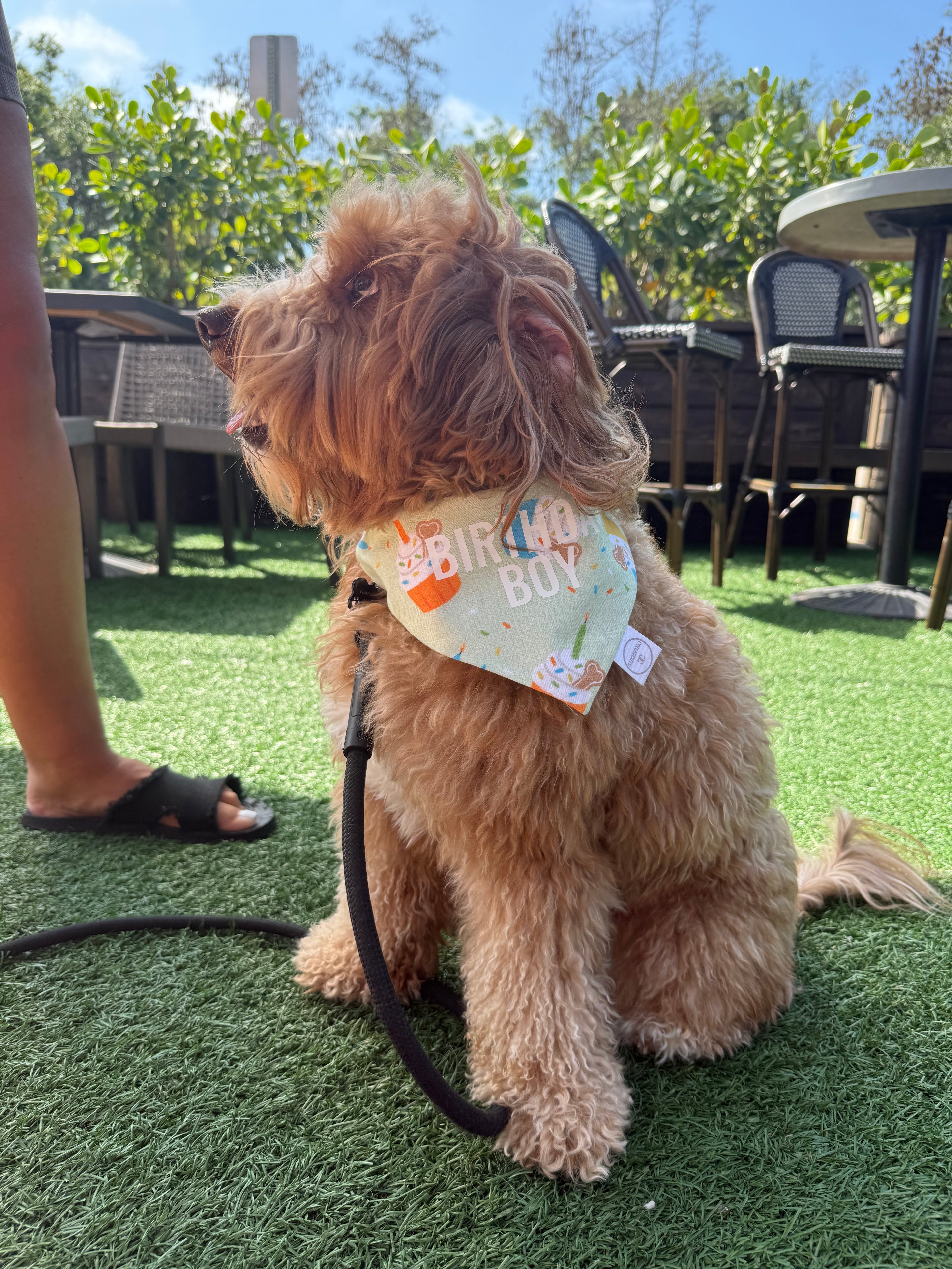 Pupcake Bandana