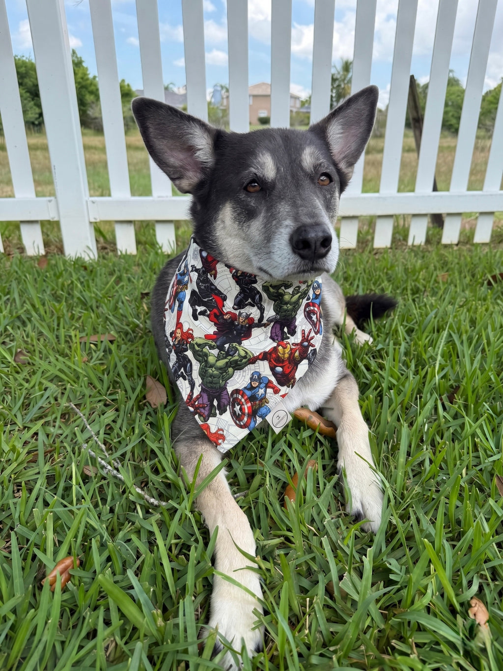Hero Headquarters Bandana