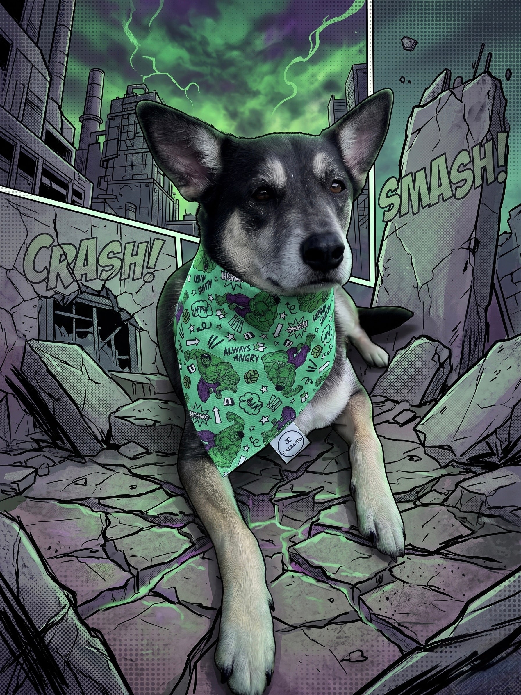 Smash Bandana