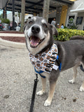 Bourbon Buddy Bandana