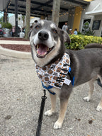 Bourbon Buddy Bandana